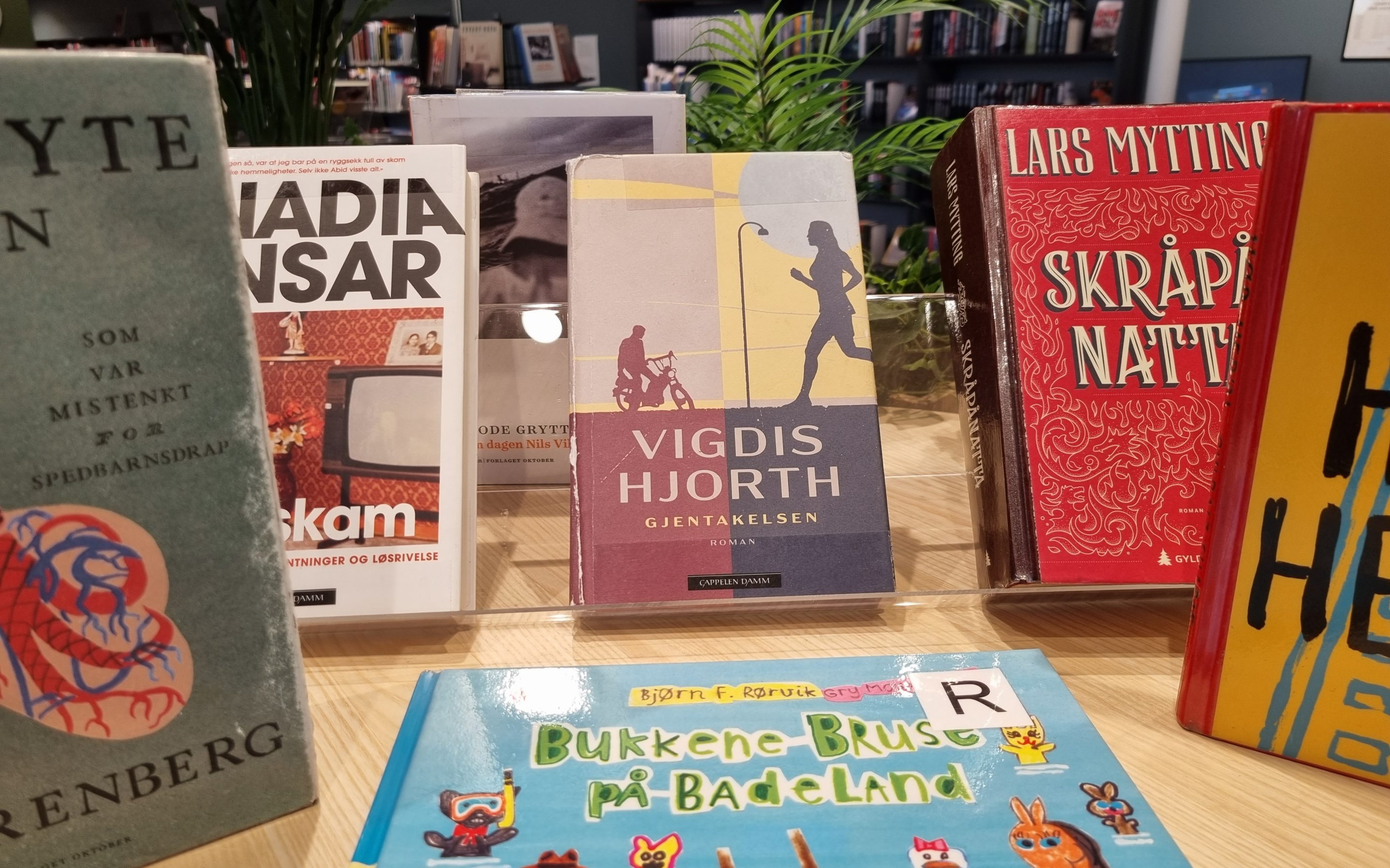 Her er de mest populære bøkene i 2024!