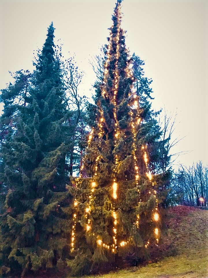 Julegrantenning på Høvik