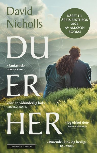 Forsidebilde til boken Du er her av David Nicholls