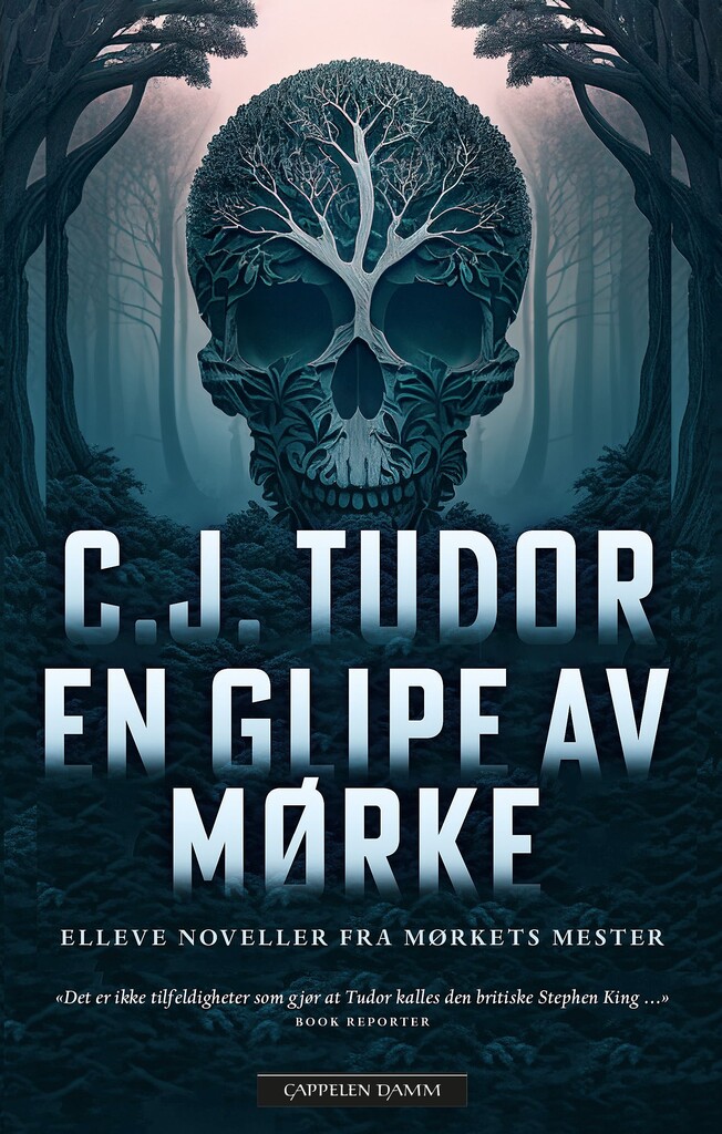 C.J. Tudor: En glipe av mørke