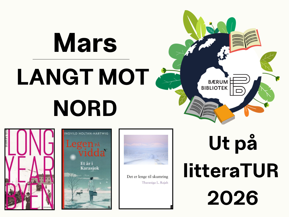 Mars: Langt mot nord