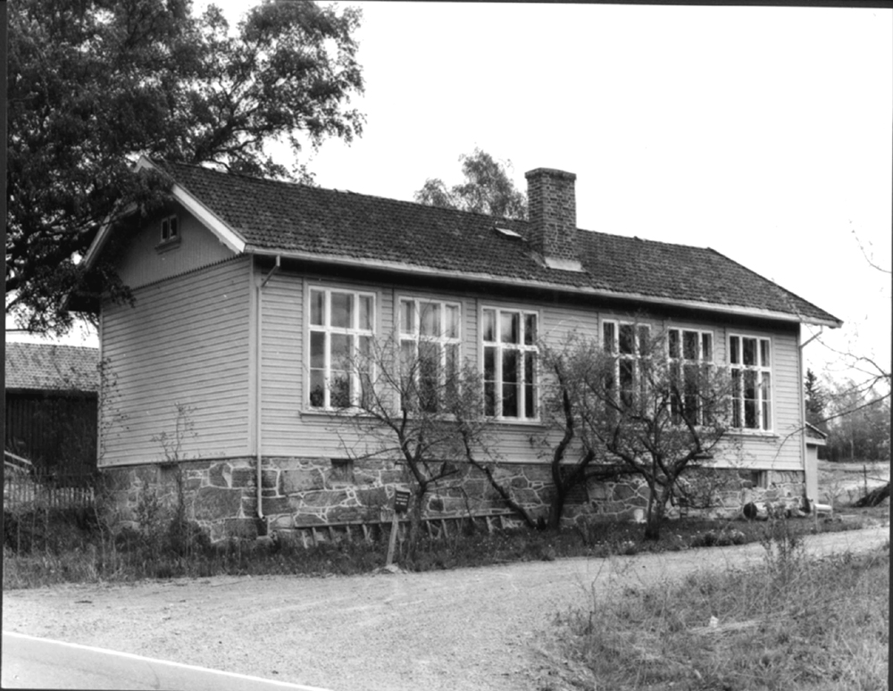 Skolehistorie