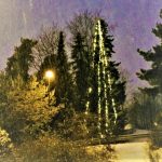 Bilde av juletreet utenfor biblioteket på Høvik.